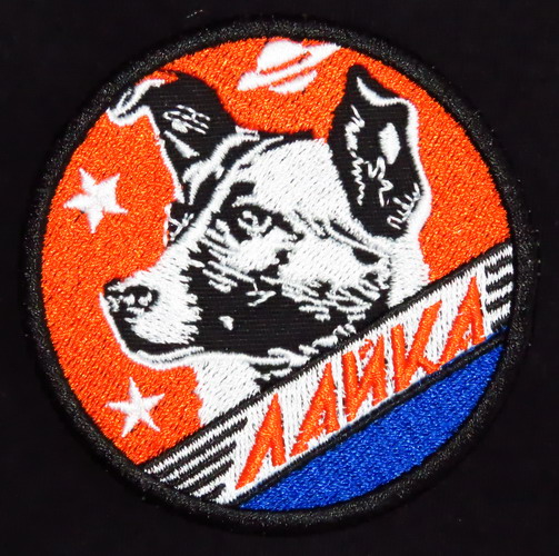 Laika%202.jpg