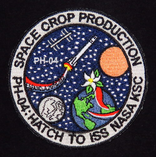 PH04%20patch.jpg