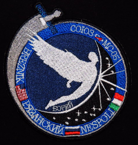 SoyMS05%20patch%20B.jpg