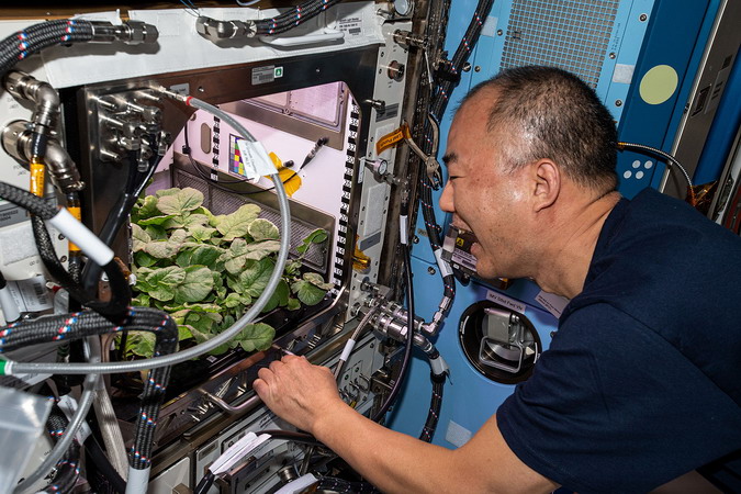 iss-64_10.jpg