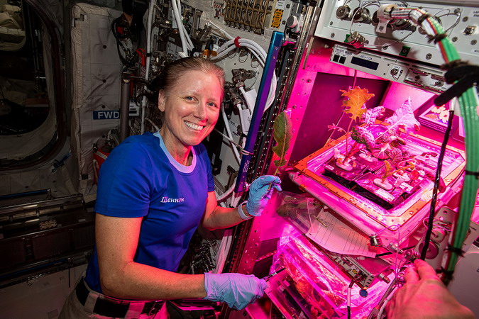iss-64_31.jpg